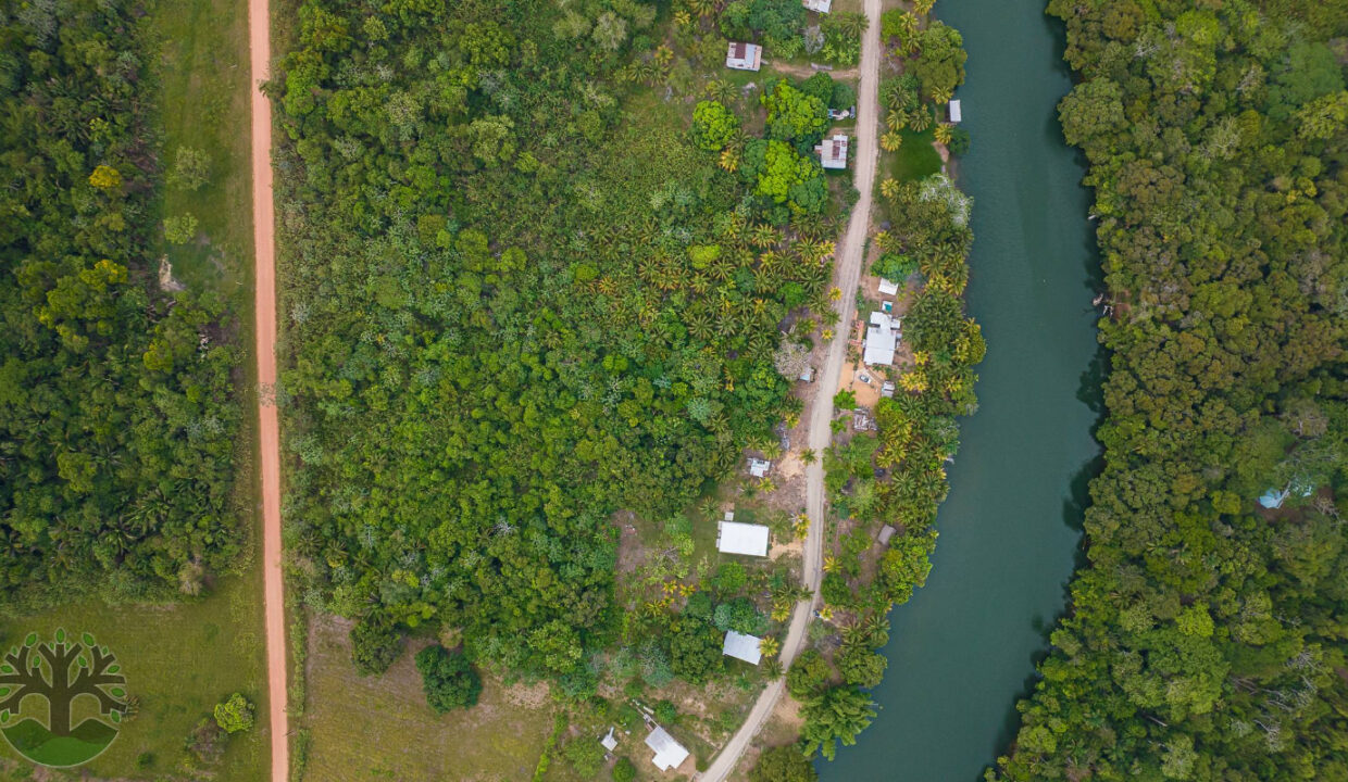DJI_0781