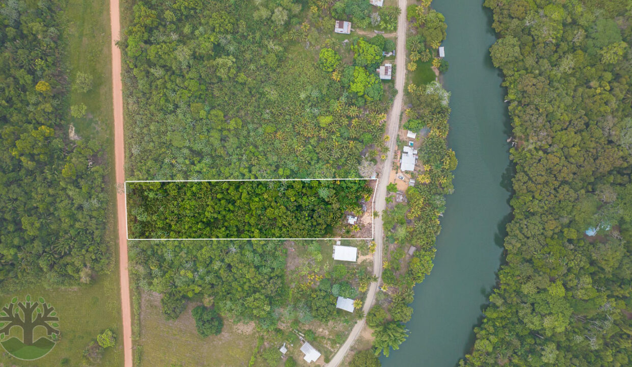 DJI_0783-Outline