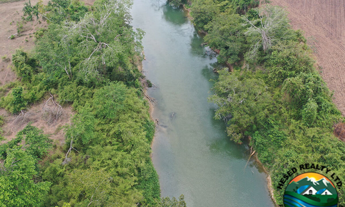 DJI_0795-web