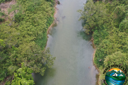 DJI_0799-web