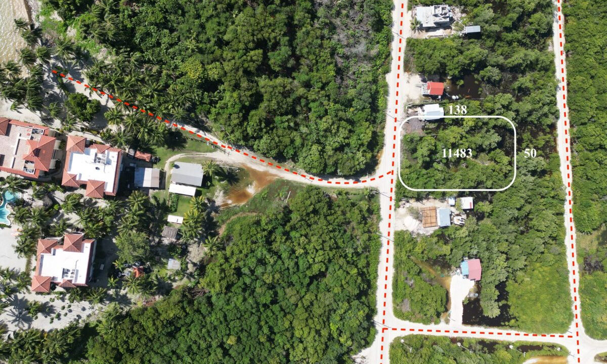DJI_0810-scaled