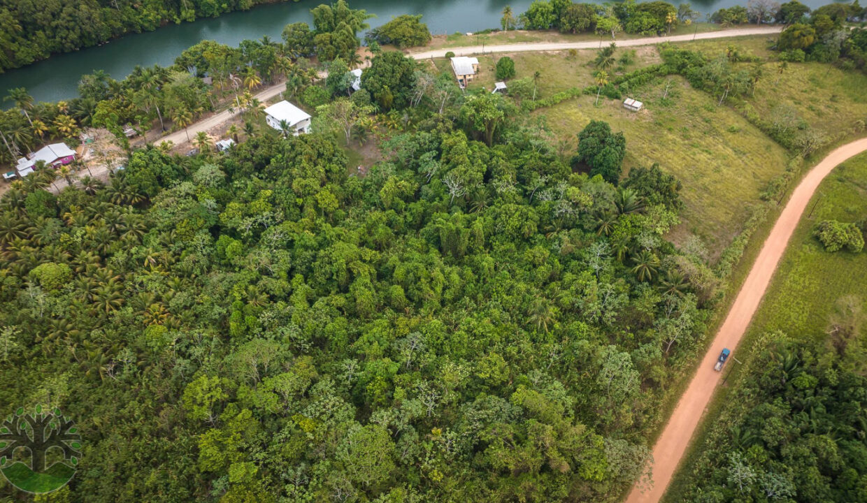 DJI_0811