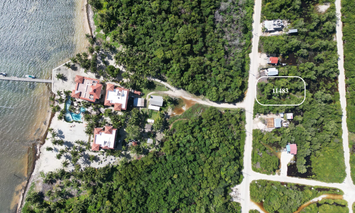 DJI_0811-scaled (1)