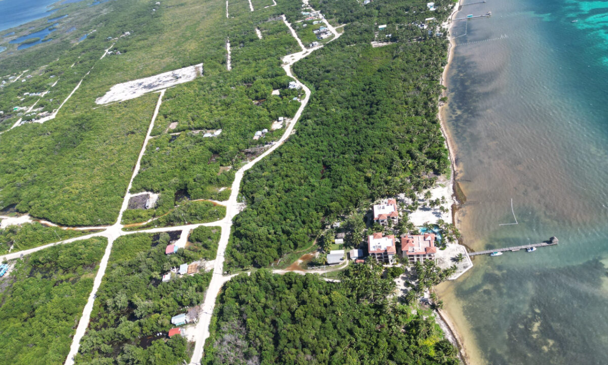 DJI_0813-scaled (1)