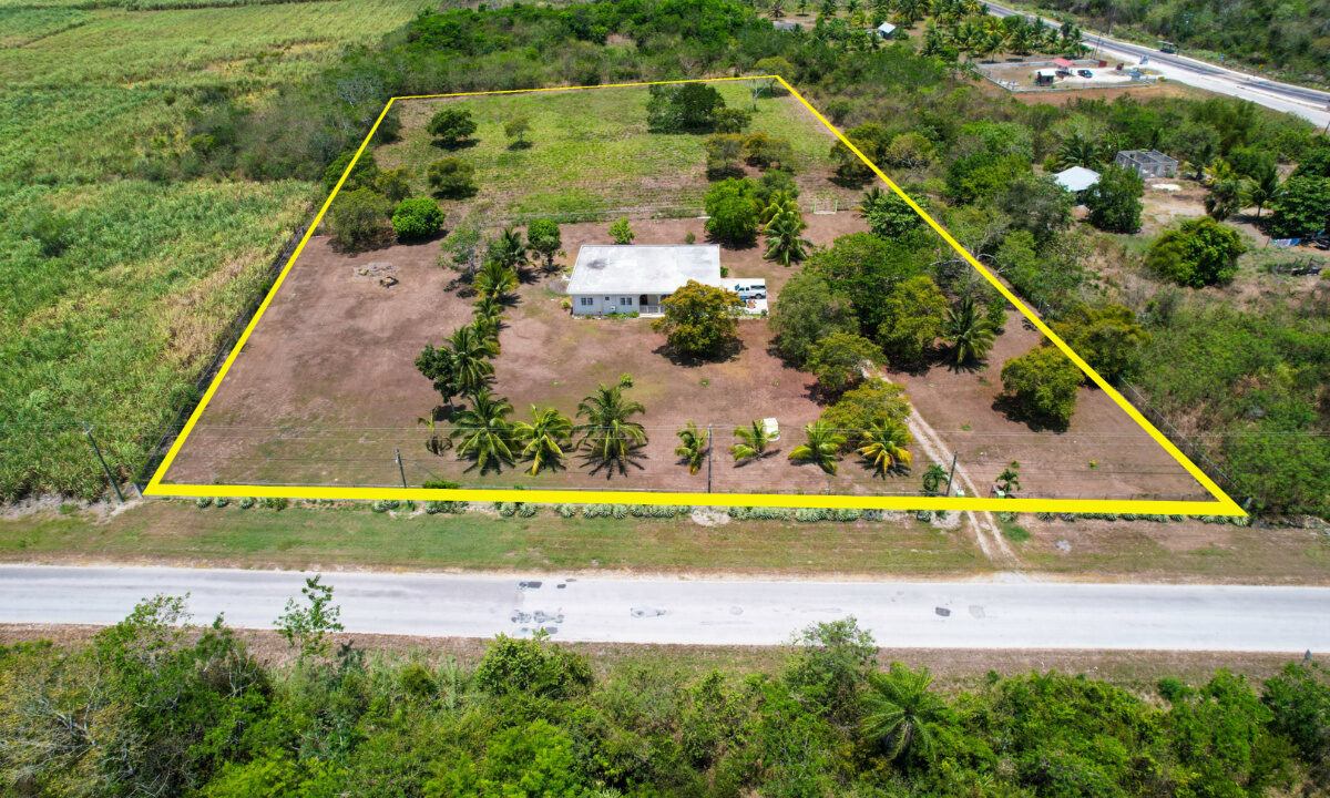 DJI_0828mls