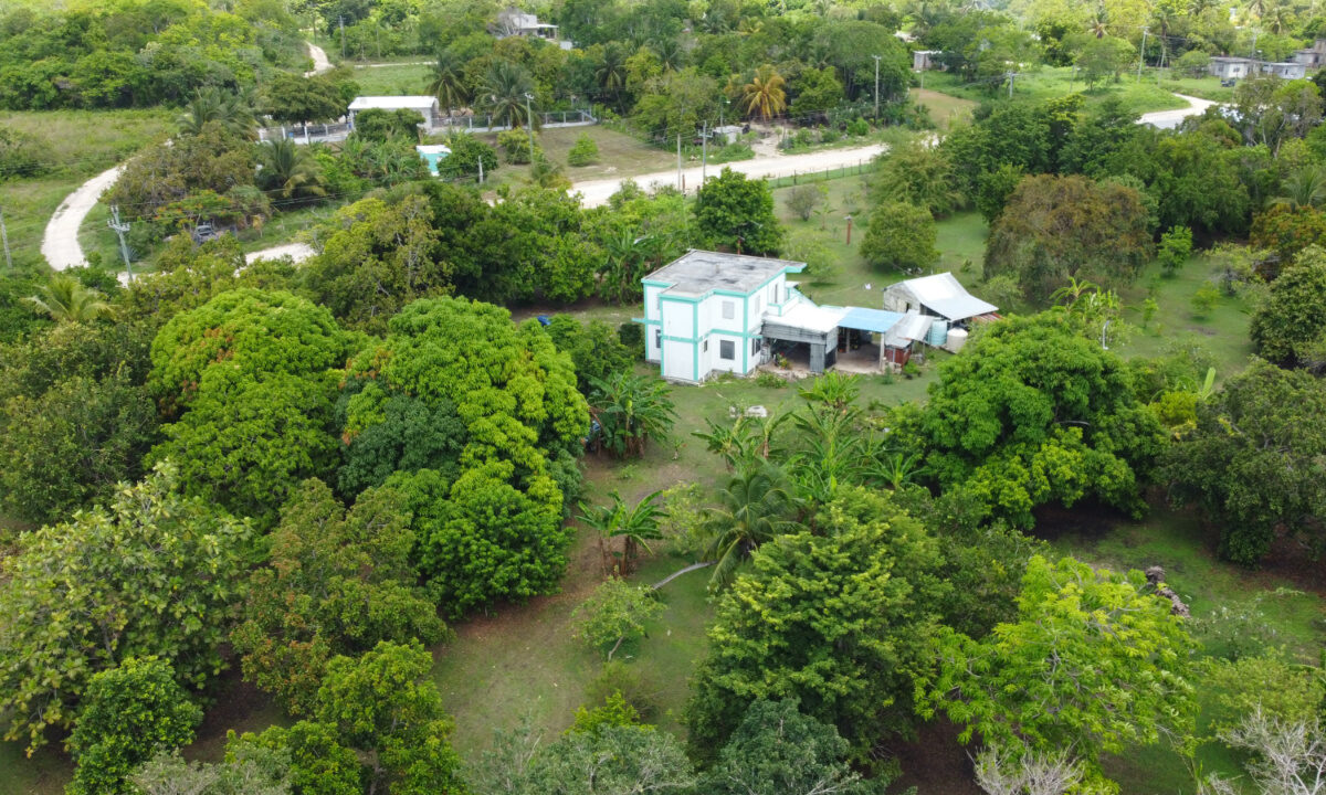 DJI_0866mls
