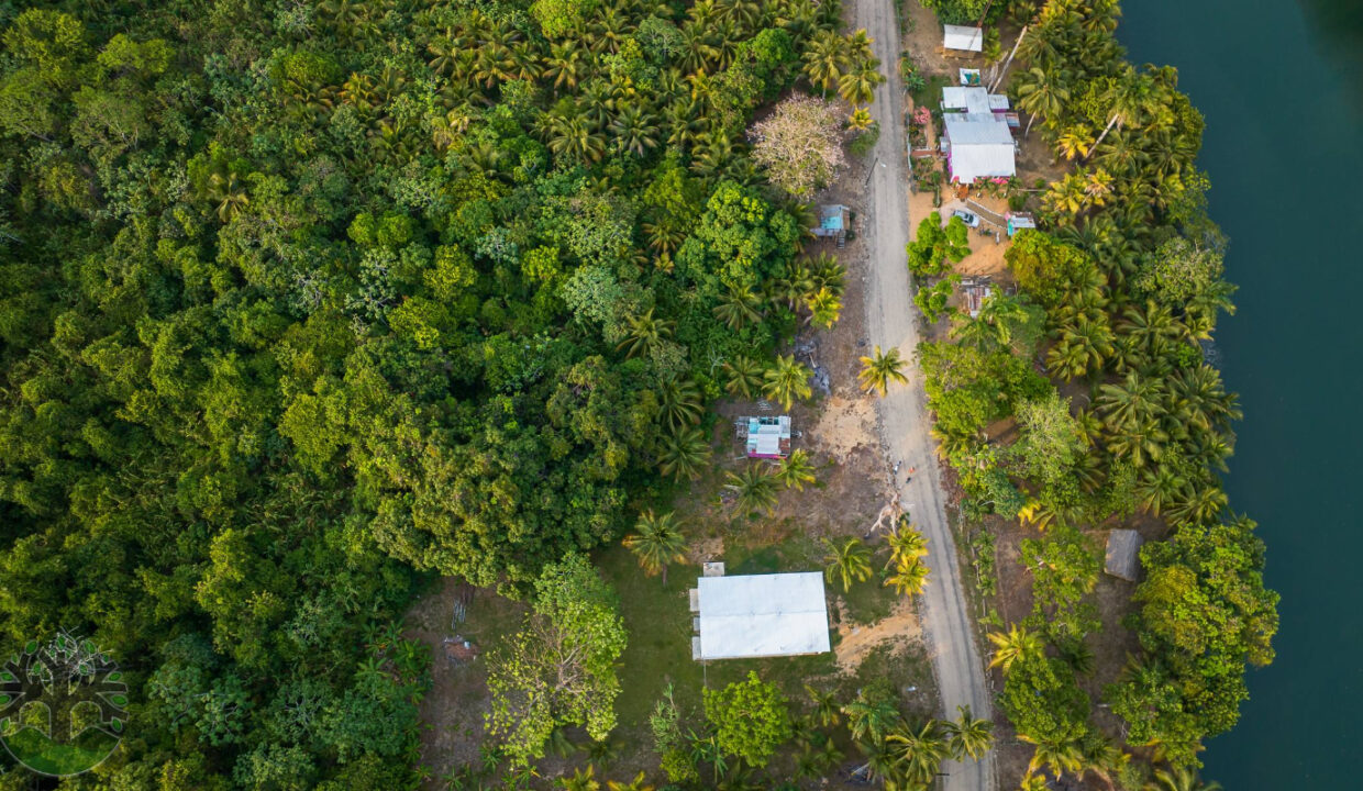 DJI_0887