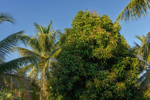 DSC02576