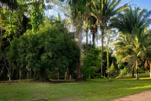 DSC02821-HDR