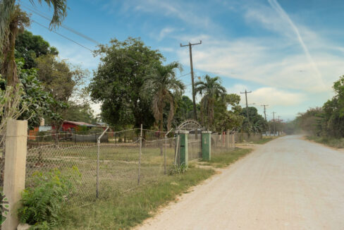 DSC03691-1