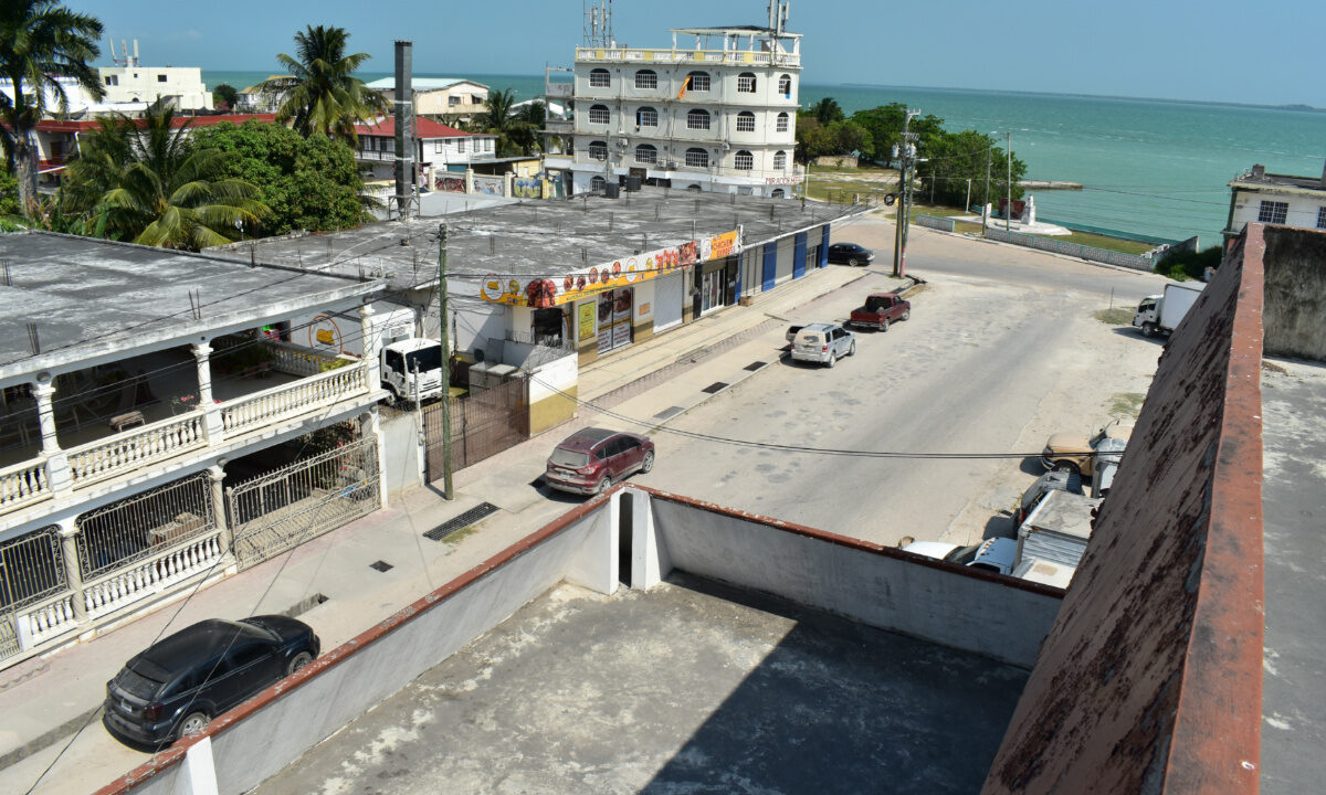 DSC_0294