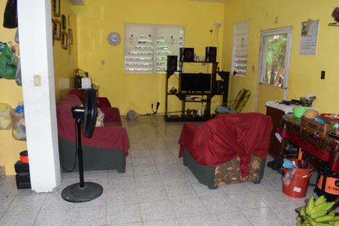 DSC_0572mls