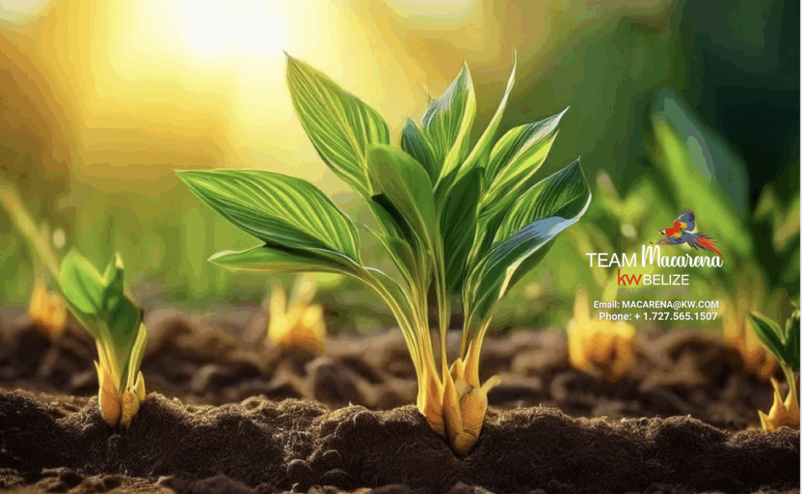 Exclusive-Investment-Opportunity6-1170x785