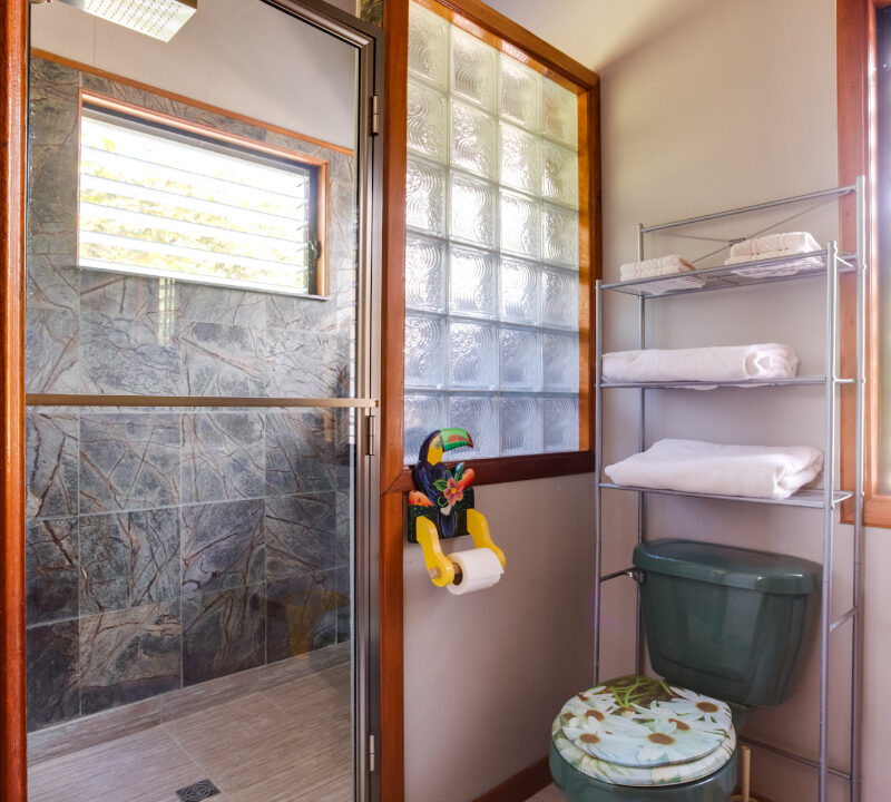 GBA-shower