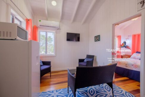 Home-with-Casita-Grand-Belizean-Estate-11-1170x785
