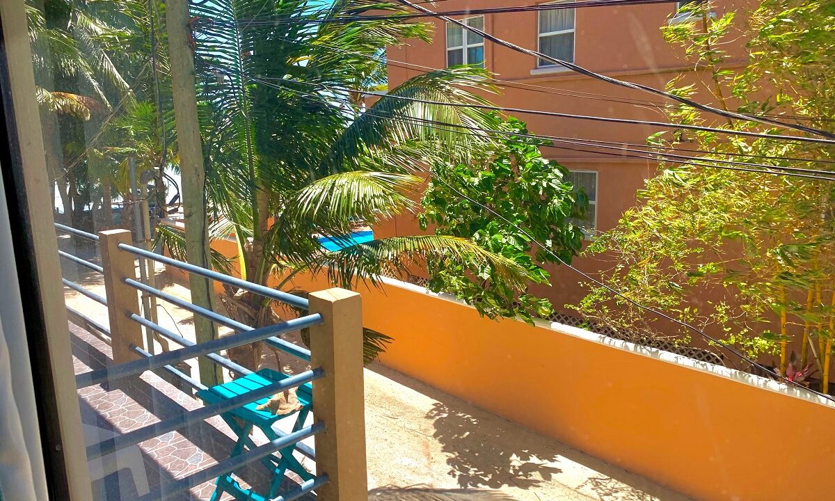IMG-0029