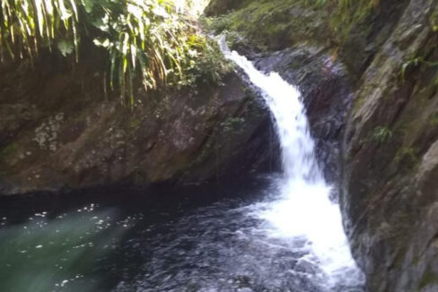 IMG-20250113-WA0023