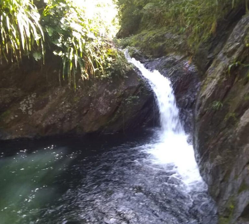 IMG-20250113-WA0023