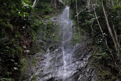 IMG-20250113-WA0030