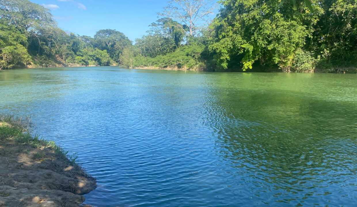 IMG-20250319-WA0030
