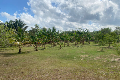 IMG-20250428-WA0013-1