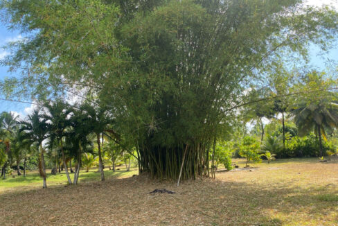IMG-20250428-WA0018
