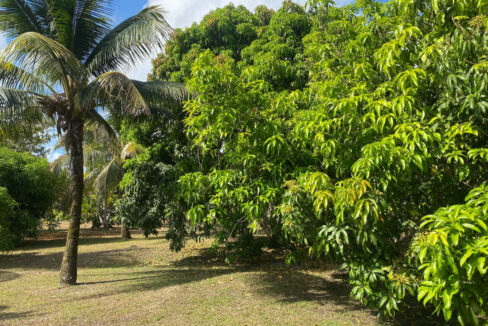 IMG-20250428-WA0032