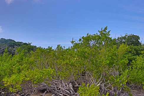 IMG_1252-1