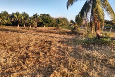 IMG_20200317_172522883_HDR