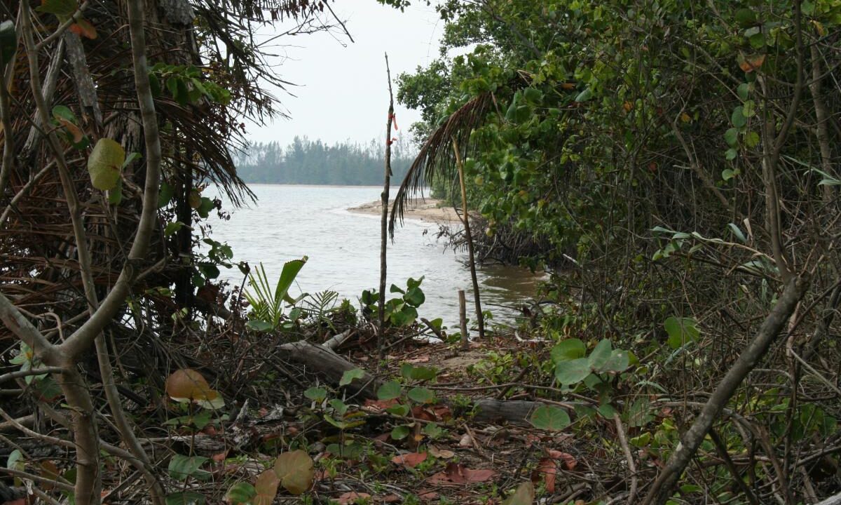 Monkey-River-003