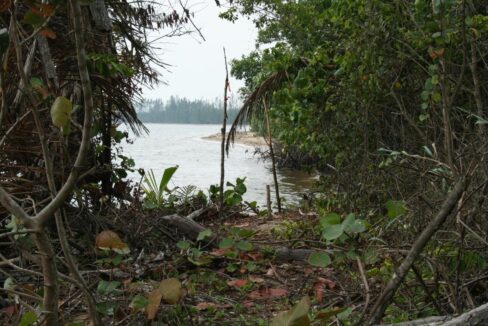 Monkey-River-003