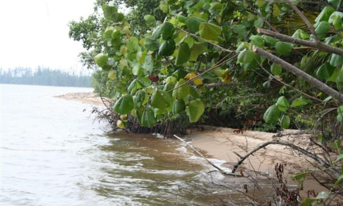 Monkey-River-005