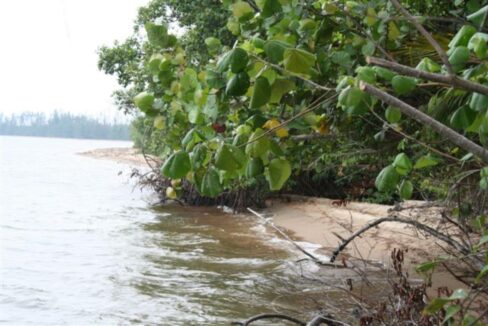 Monkey-River-005