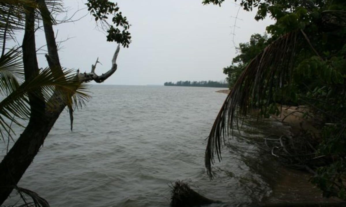 Monkey-River-006