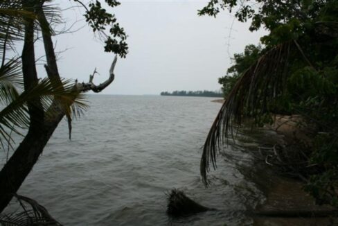 Monkey-River-006