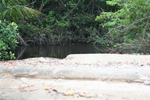 Monkey-River-007