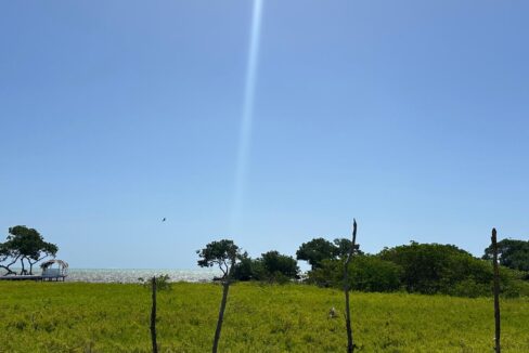PHOTO13