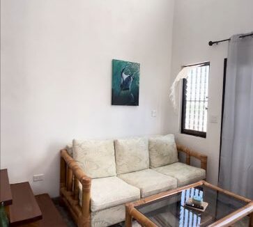 PHOTO15