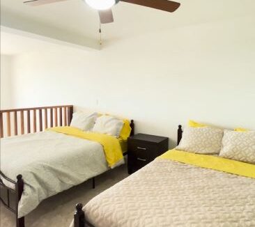 PHOTO21