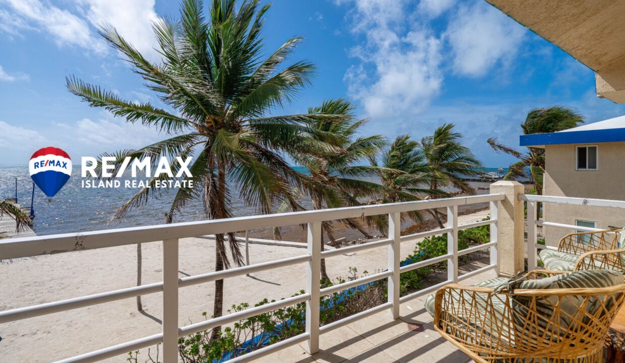 ROYAL-PALM-7D-RESIZED-WATERMARKED-20