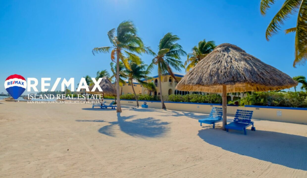 ROYAL-PALM-7D-RESIZED-WATERMARKED-29