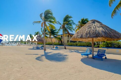 ROYAL-PALM-7D-RESIZED-WATERMARKED-29