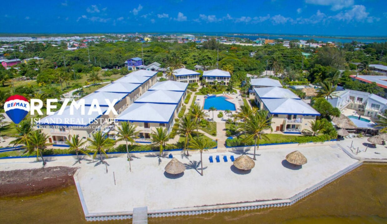 ROYAL-PALM-7D-RESIZED-WATERMARKED-30