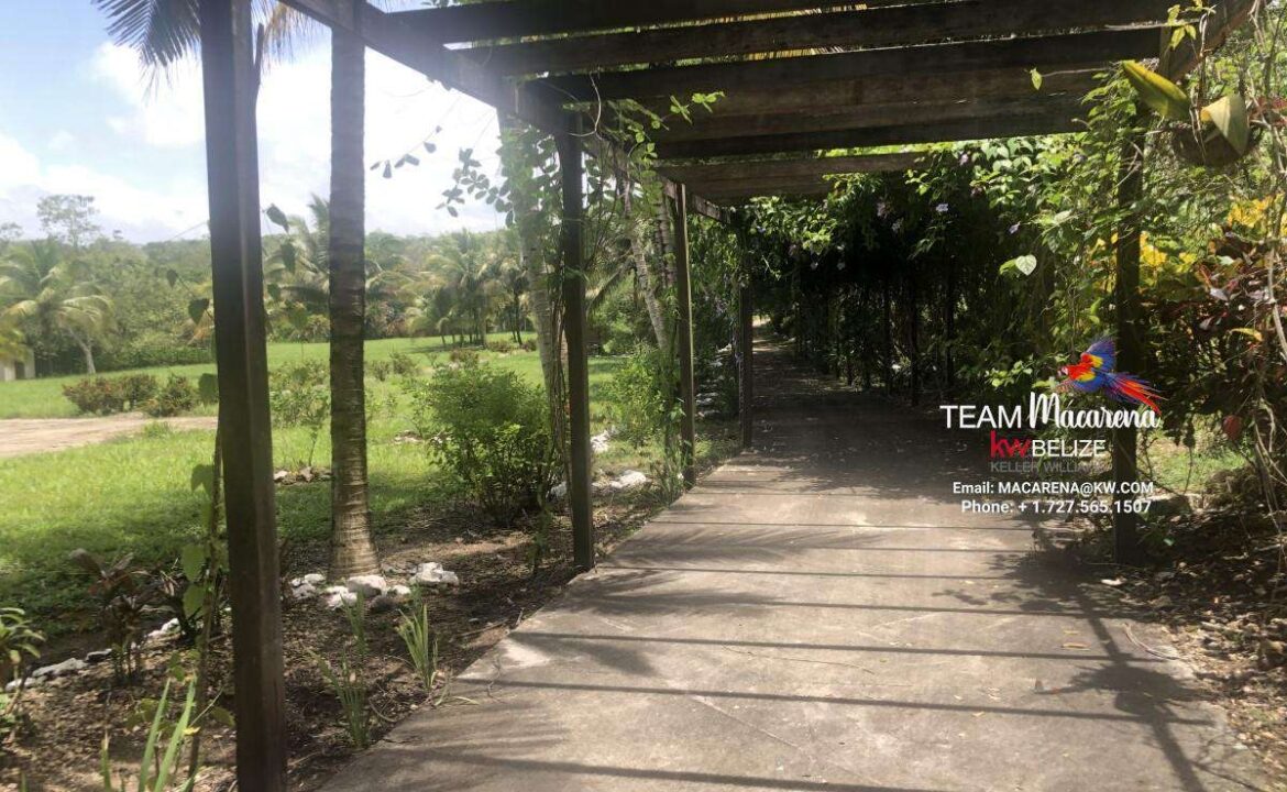 Resort-Ready-Property-close-San-Ignacio7-1170x785