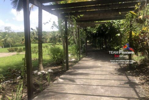 Resort-Ready-Property-close-San-Ignacio7-1170x785