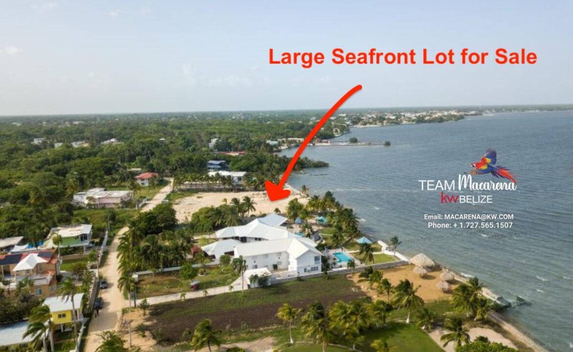 Seafront-Lot-Corozal_Jai-and-Lisa-Wall-listing-1170x785