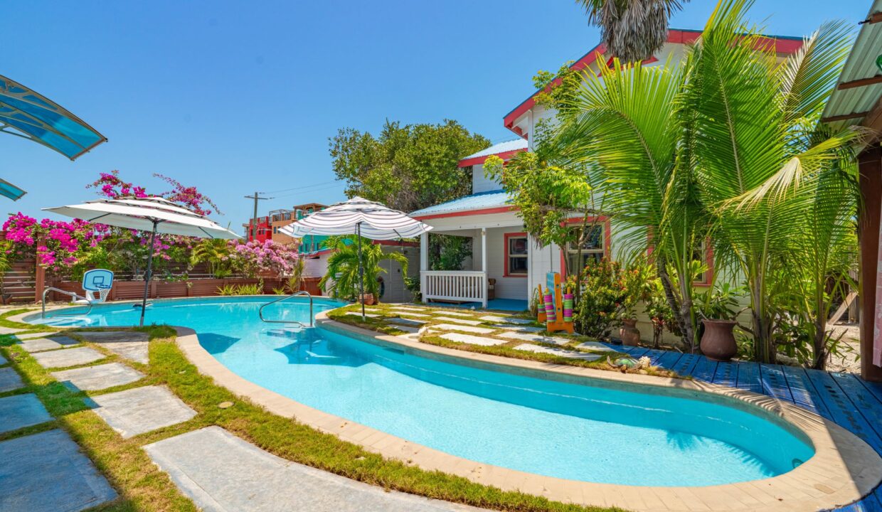 TORTUGA-VIDA-FULL-RESOLUTION-66 (1)