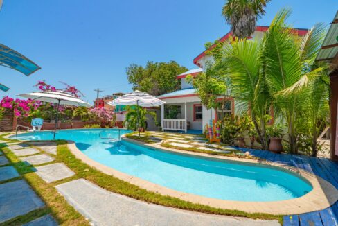 TORTUGA-VIDA-FULL-RESOLUTION-66 (1)
