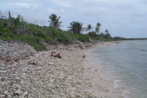 Waynes-002-1