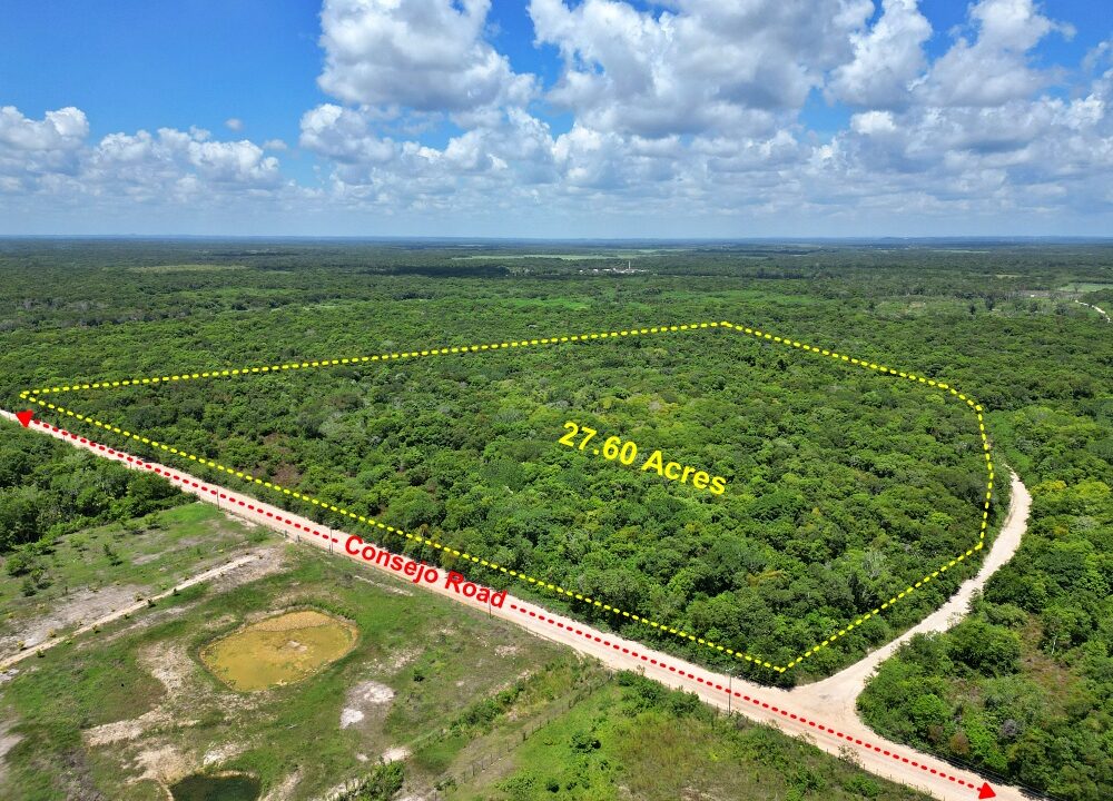 Web27Acres1